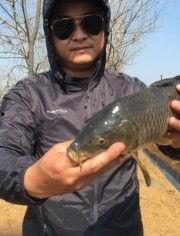 国产火腿钓鱼视频大全,趣味盎然的视频盛宴  第2张