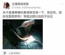 国产黄鳝门视频在线导航,一场网络伦理的警示