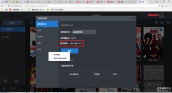国产共享视频在线播放
