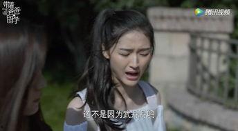 国产渣女电视剧大全视频,揭秘剧中那些让人又爱又恨的“渣女”形象