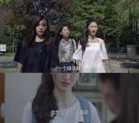 国产渣女电视剧大全视频,揭秘剧中那些让人又爱又恨的“渣女”形象